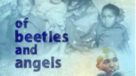 Timeline: Of Beetles & Angels Timeline