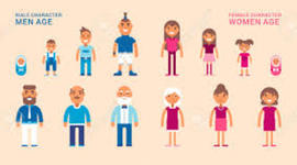 Timeline: Stages of Life