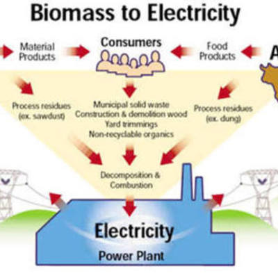 Timeline: Biomass power