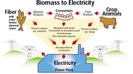 Timeline: Biomass power