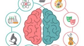 Timeline: Cronología