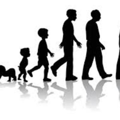 Timeline: Hanson Developmental Timeline