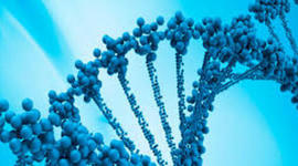 Timeline: importantes personajes de la biologia