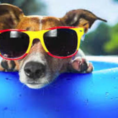 Timeline: 2018 Júniusi programok - Jelige: Angolna