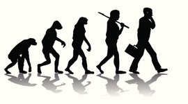 Timeline: DESARROLLO DE LA ADMINISTRACIÓN