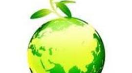 Timeline: UN MUNDO DE PLANTAS PELIGROSO Y BUENO A LA VEZ