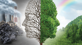 Timeline: impcto ambiental (conflictos ambientales)