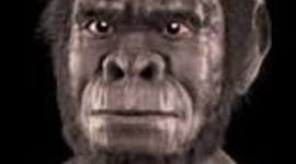 Timeline: LA PREHISTORIA