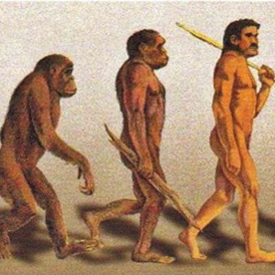 Timeline: El origen del hombre