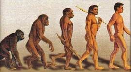 Timeline: El origen del hombre