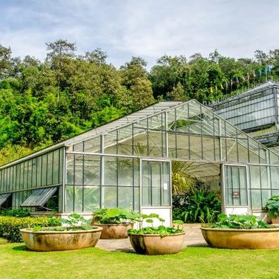 Timeline: ANTECEDENTES DE LA CONSTRUCCIÓN SOSTENIBLE