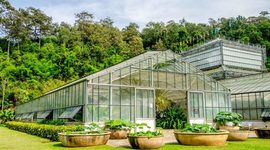 Timeline: ANTECEDENTES DE LA CONSTRUCCIÓN SOSTENIBLE