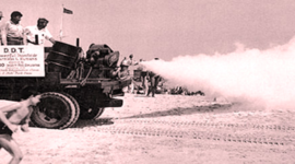 Timeline: Use of DDT
