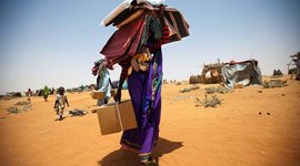 Timeline: Of Beetles and Angels Time Line