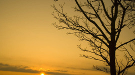 Timeline: Uus ajatelg