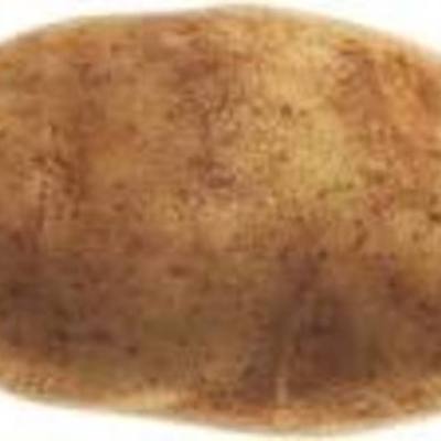 Timeline: The Renaissance