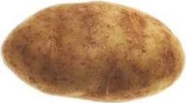 Timeline: The Renaissance