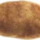 Potato