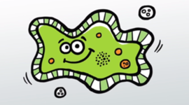 Timeline: Cell Theory