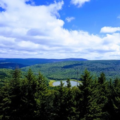 Timeline: West Virginia State Symbols