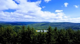 Timeline: West Virginia State Symbols