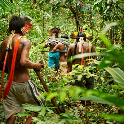 Timeline: The Amazon: A Look into the Last Frontier by Peter Lourie