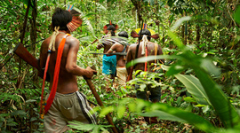 Timeline: The Amazon: A Look into the Last Frontier by Peter Lourie