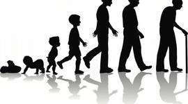 Timeline: Lifetime Personal Health Jake Fried