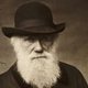 Charles darwin 290x197 b8de53aa