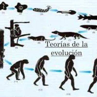 Timeline: Teoria sobre la evolución