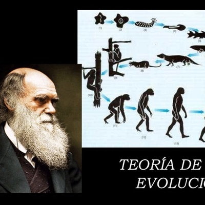 Timeline: Teorías de la evolución (Científicos)