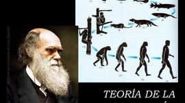 Timeline: Teorías de la evolución (Científicos)