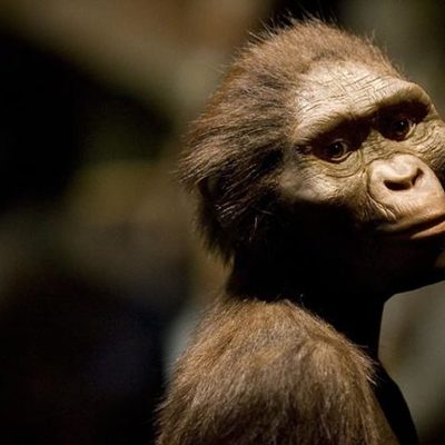 Timeline: Historia forntiden