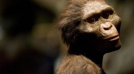 Timeline: Historia forntiden