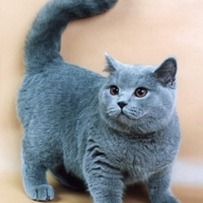 Timeline: история развития вычеслительной техники