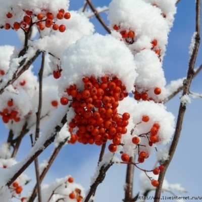 Timeline: История развития вычислительной техники