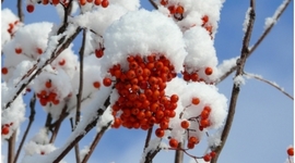 Timeline: История развития вычислительной техники