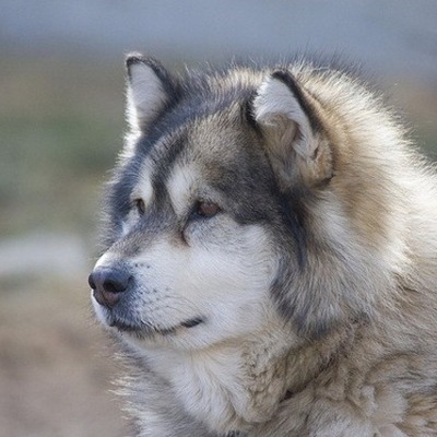 Timeline: История вычеслительной техники