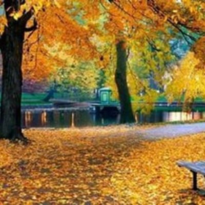 Timeline: парики