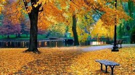 Timeline: парики