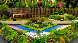 Timeline: my timeline