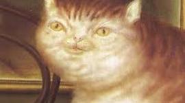 Timeline: TimeToast 3