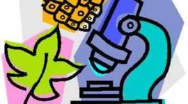 Timeline: Freshman Biology