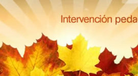 Timeline: Pasos de la intervención