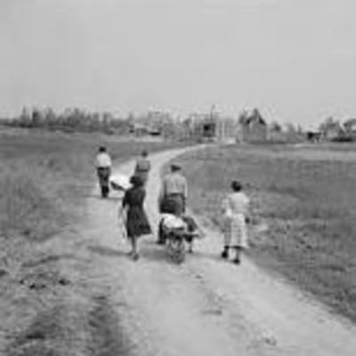 Timeline: Post World War II 「」Aftermath of WW2