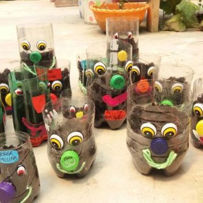 Timeline: FUNDACION OASIS