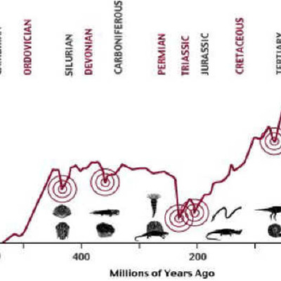 Timeline: LAS GRANDES EXTINCIONES