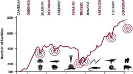 Timeline: LAS GRANDES EXTINCIONES
