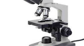 Timeline: La Historia de la Invención y Desarrollo de los Microscopios Hecho Por: Martina Correa