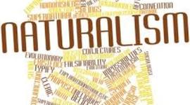 Timeline: Realism and Naturalism Era